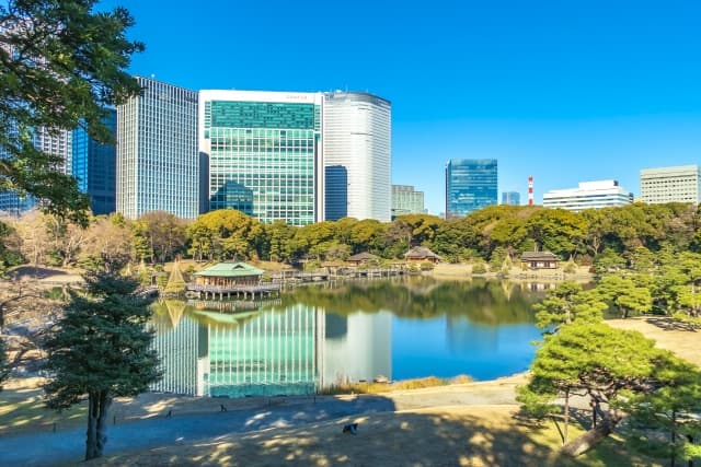 中央区のビル群と自然が調和する浜離宮恩賜庭園。都心部でも緑豊かな子育て環境をイメージ。